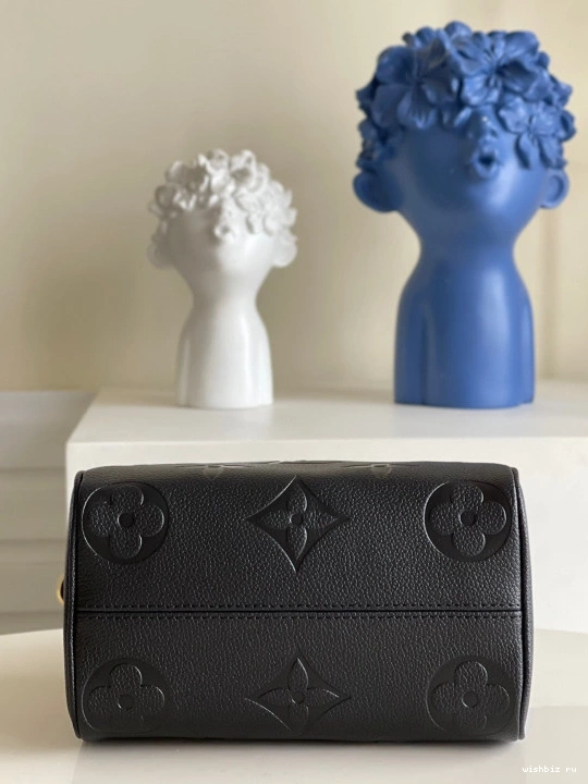 WIS SPEEDY 20 BANDOULIÈRE LOUIS VUITTON 0227